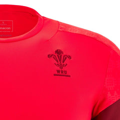 Maglia Rugby galles training 2026: Maglia da rugby da allenamento in poliestere rosso con logo WRU