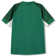 Maglia Rugby Irlanda 2027 Home Pro