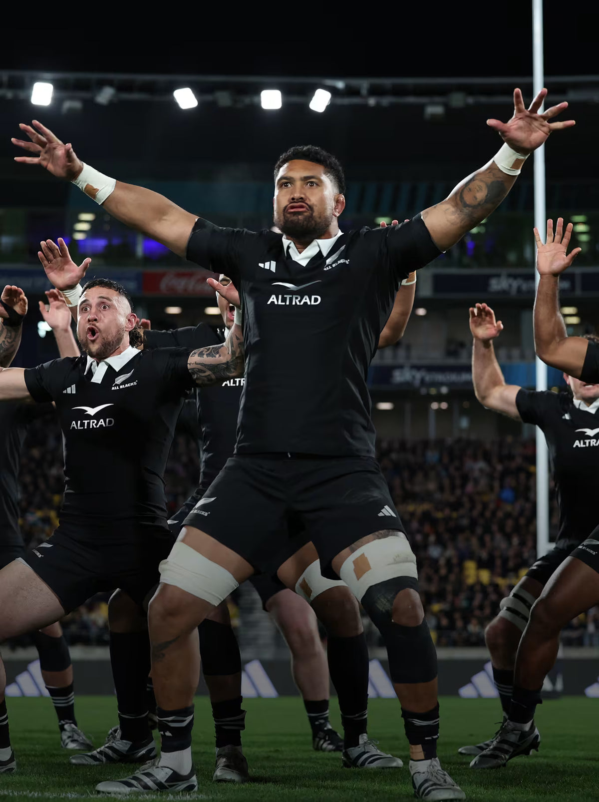 All Blacks Rugby