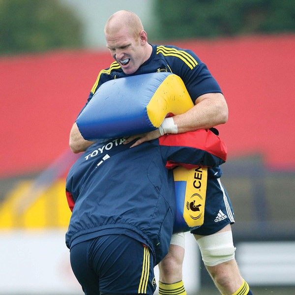 Scudo da placcaggio Senior Tackle Tech blu e giallo in allenamento rugby.